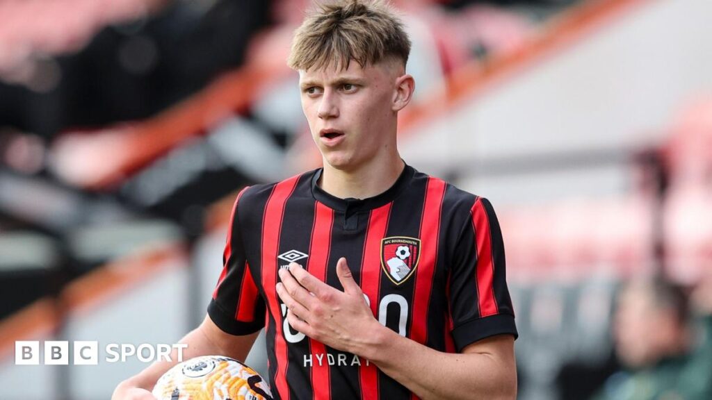 Charlie Osborne & Reece Evans: Torquay United sign duo on loan