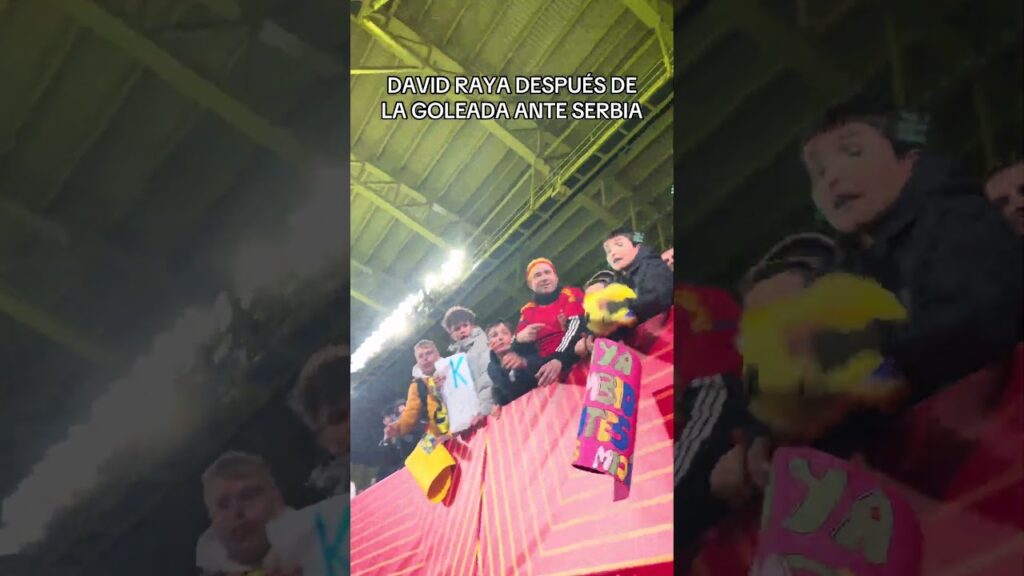 ⚽️ DAVID RAYA tras la goleada 3-0 ante Serbia. #futbol #españa #mundial