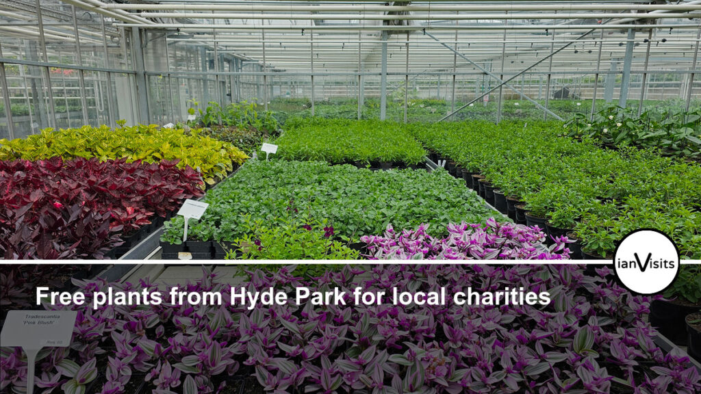 Free plants from Hyde Park for local charities