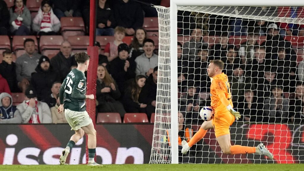 Southampton v Norwich City - Sky Bet Championship - St Mary's Stadium