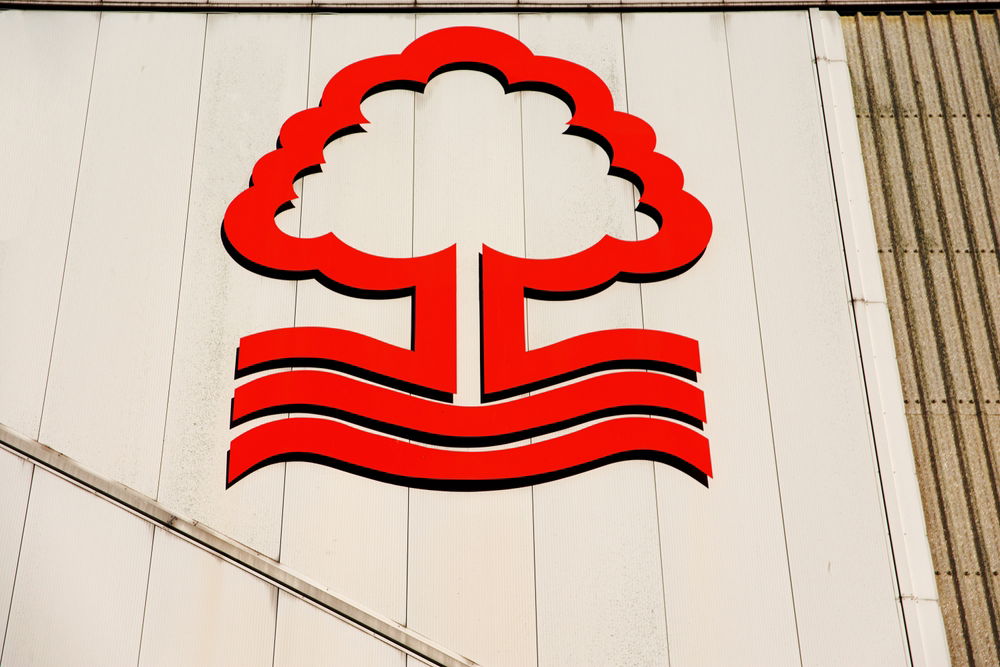 "I ask myself too" - Nottingham Forest summer signing left with questions during international break