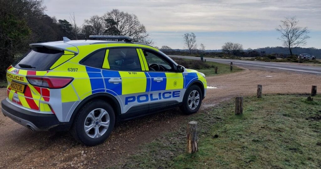 Nine drivers stopped for speeding on New Forest road