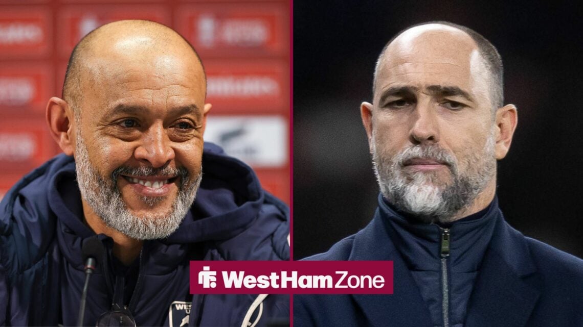 Nuno Espirito Santo smiling alongside a nervous looking Igor Tudor