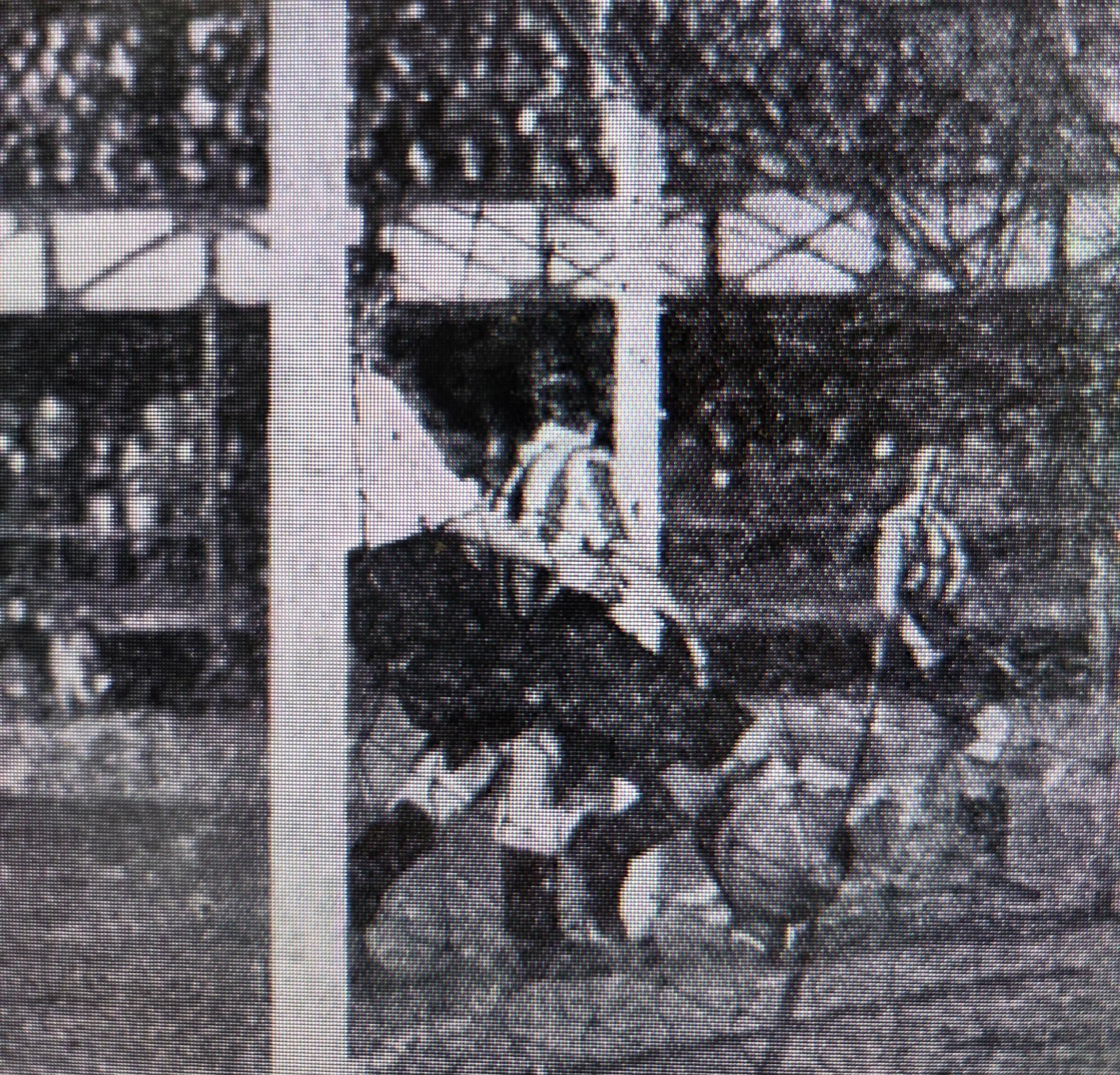 Both images taken from the Football Echo and show Sunderland putting the pressure on…