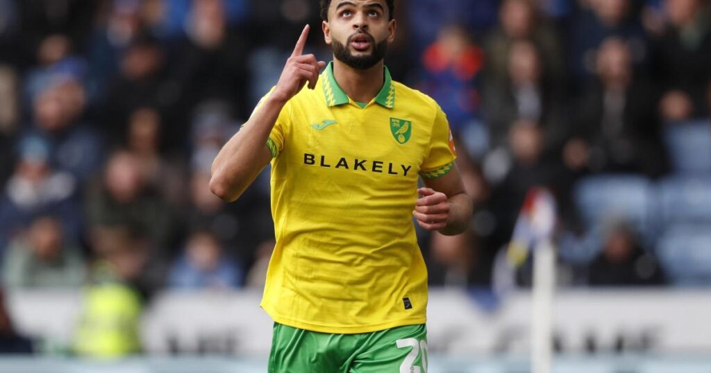 Norwich City: Anis Ben Slimane explains Foxes near miss Norwich City: Anis Ben Slimane explains Foxes near miss