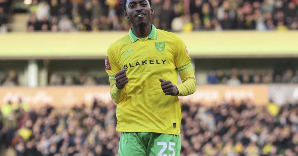 Leeds United v Norwich City: FA Cup fifth-round preview