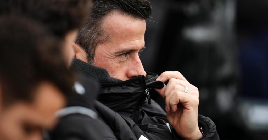 Fulham's Silva details referee mistake but fumes at FA Cup performance