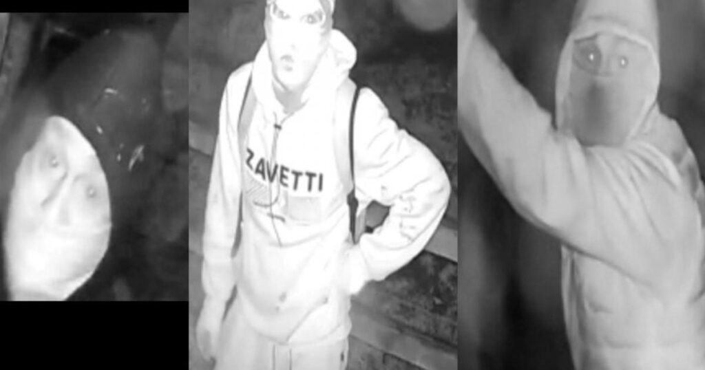 New Forest police release images of men after Ringwood burglary