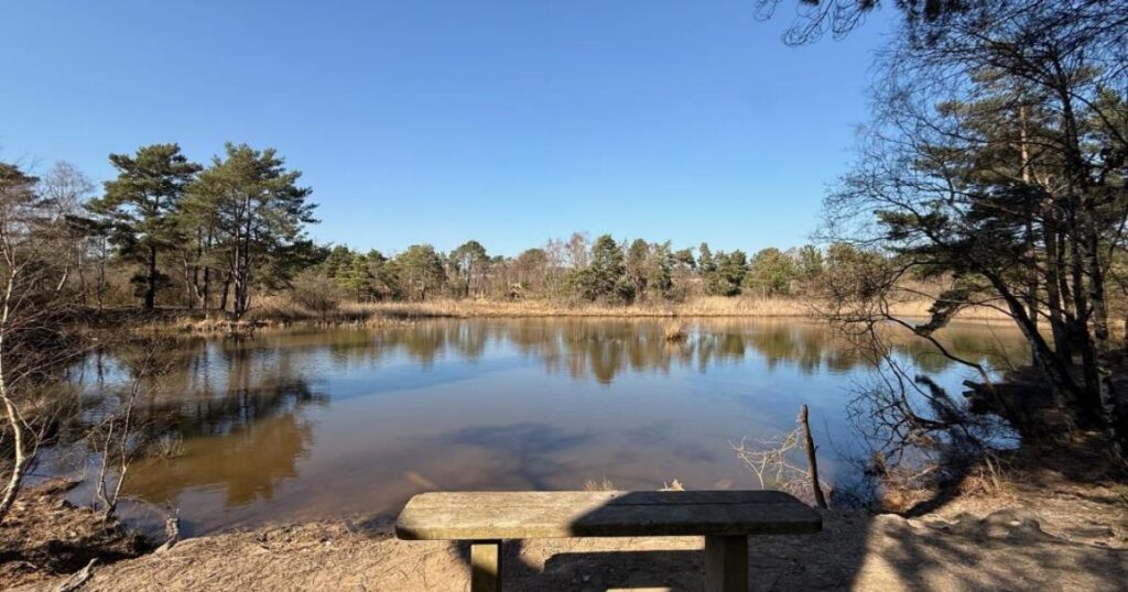 110 acres of land with a lake set to be auctioned in public