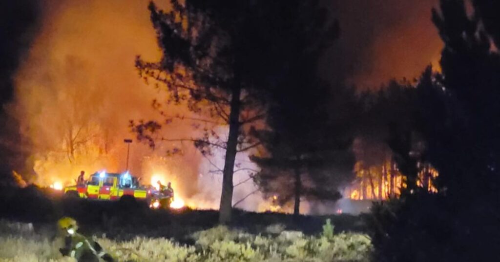 60 firefighters tackle multiple heath fires near Wareham