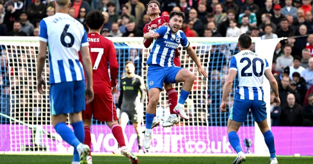 Brighton midfielder Jack Hinshelwood in precautionary call