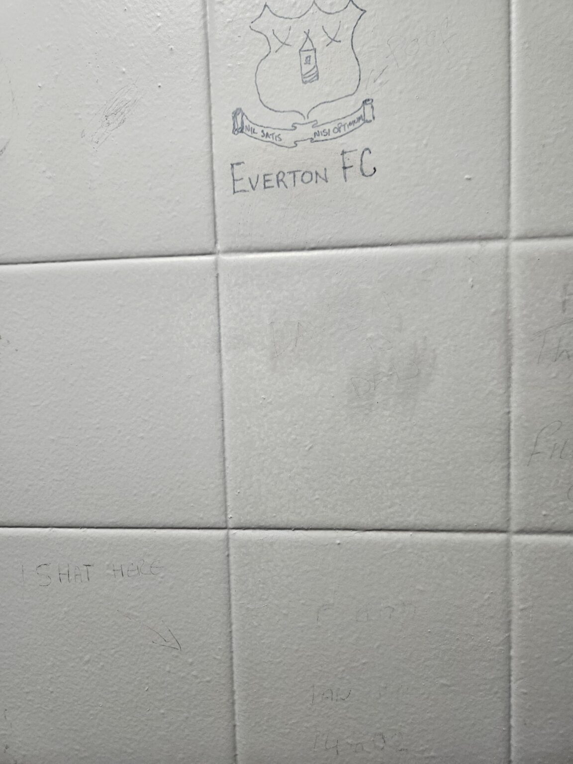 Found in Lossiemouth