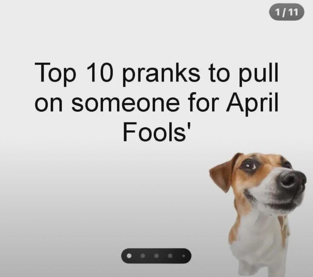 Which one is the best?