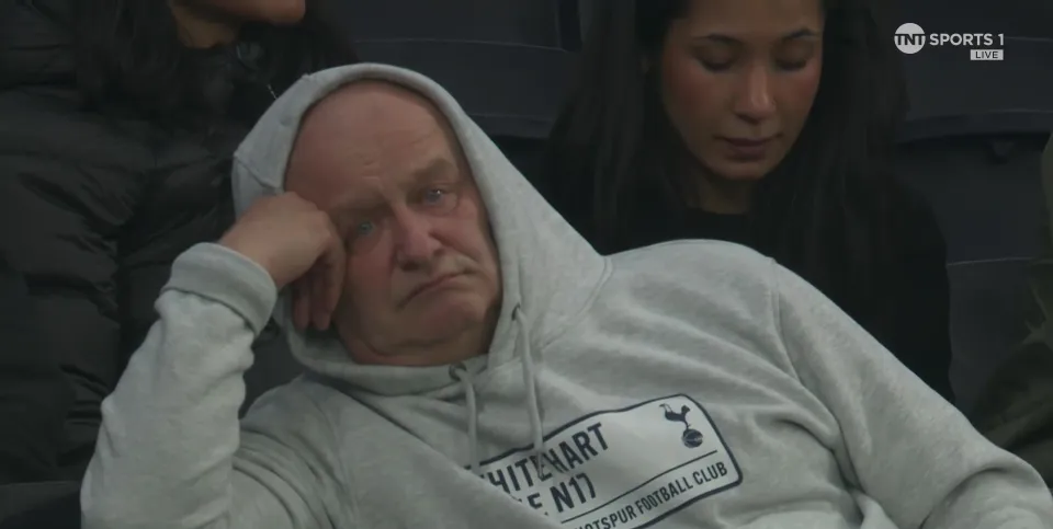 Spurs fan at the Tottenham Hotspur Stadium