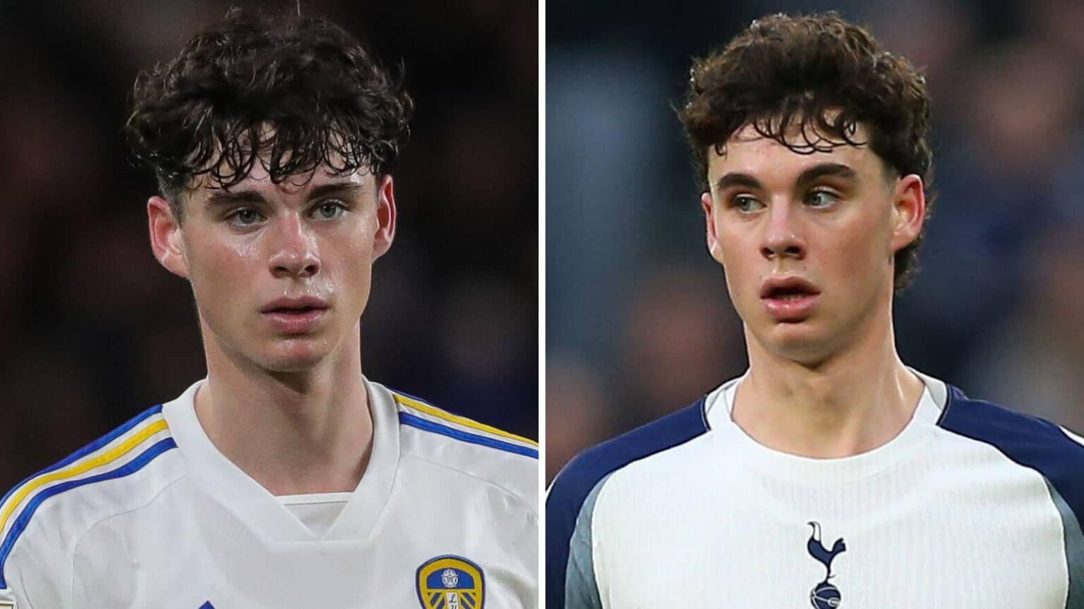 Leeds chances of sensational Archie Gray return revealed as truths on Tottenham 'buy back clause' emerge