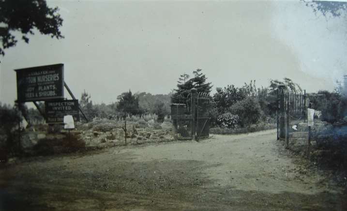 Everton Nurseries in about 1929/30