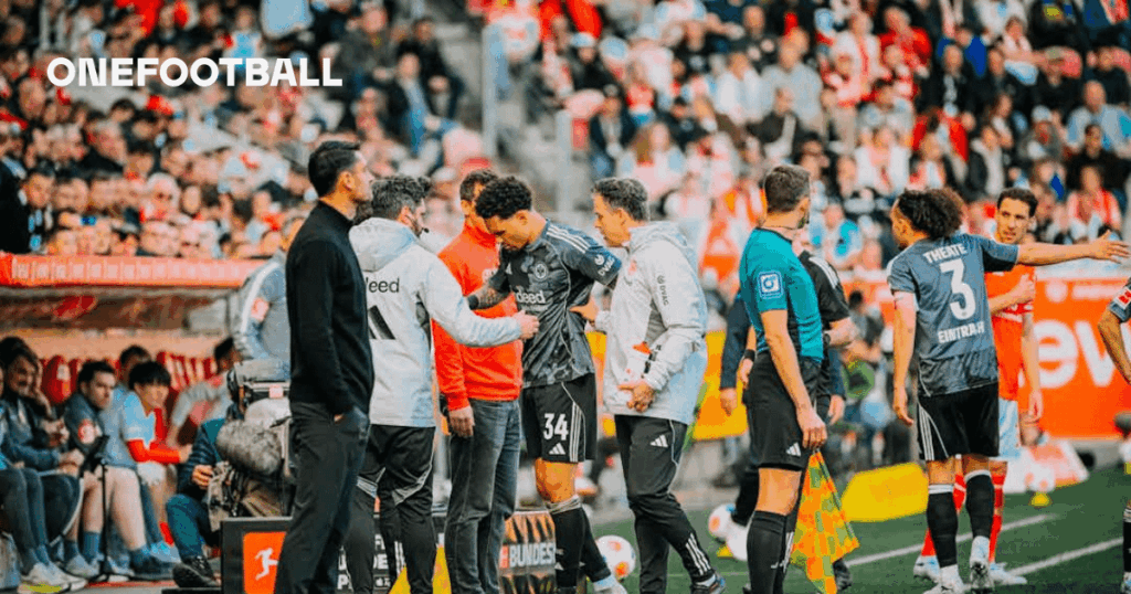 Update on Brown, Bahoya and Collins