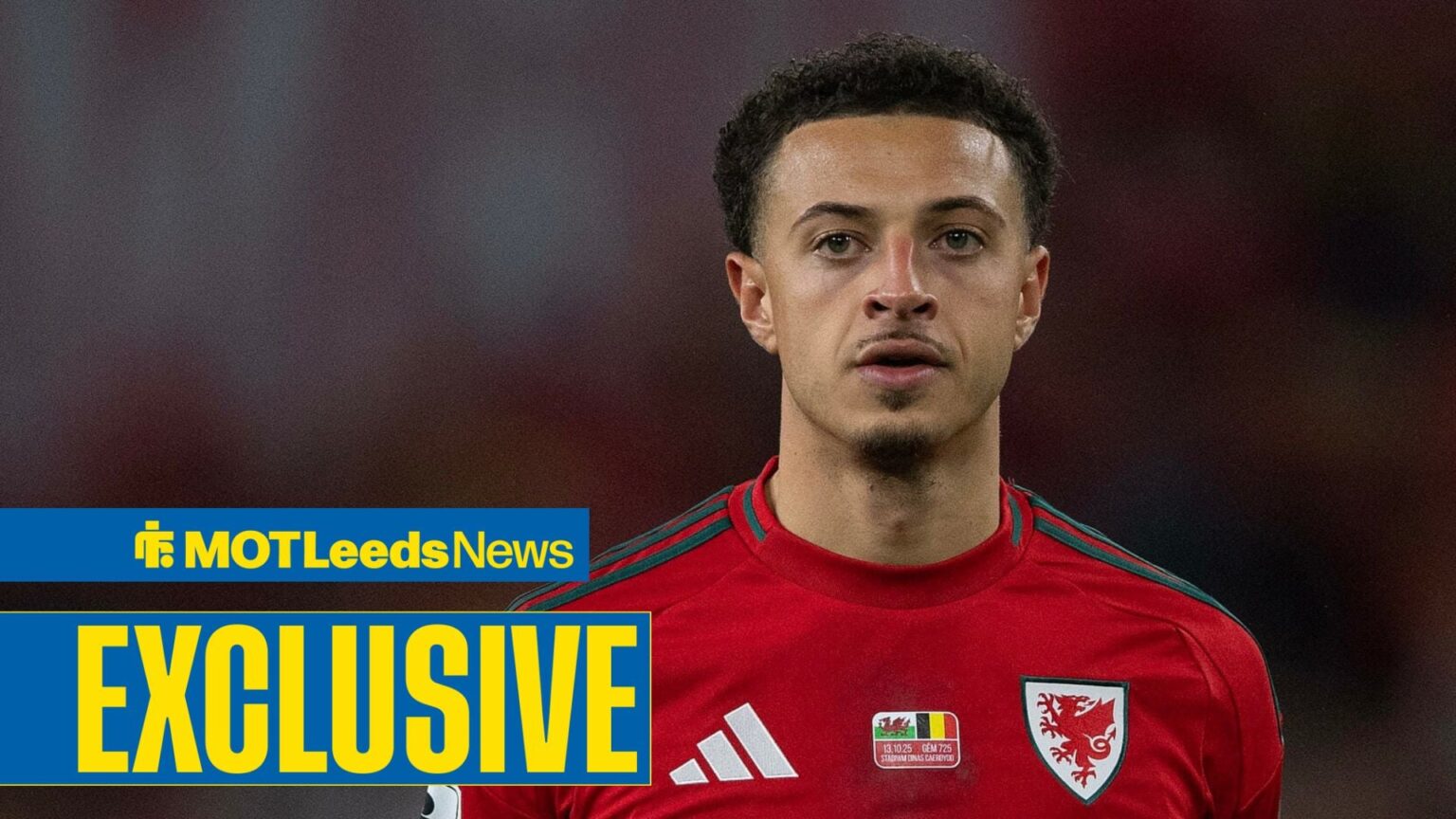 Leeds United's Ethan Ampadu ‘lucky’ to escape sanction in Wales vs Bosnia showdown