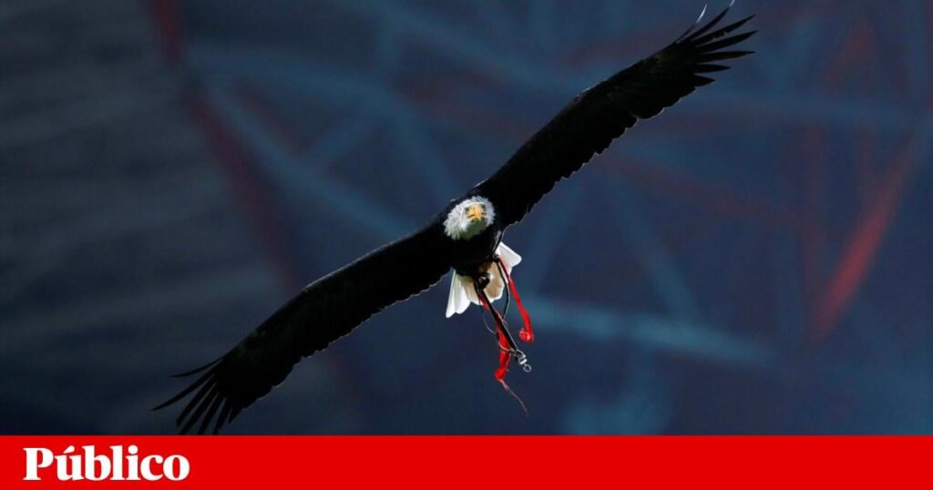 Benfica SAD enfrenta acusação de corrupção e fraude fiscal no caso dos emails
