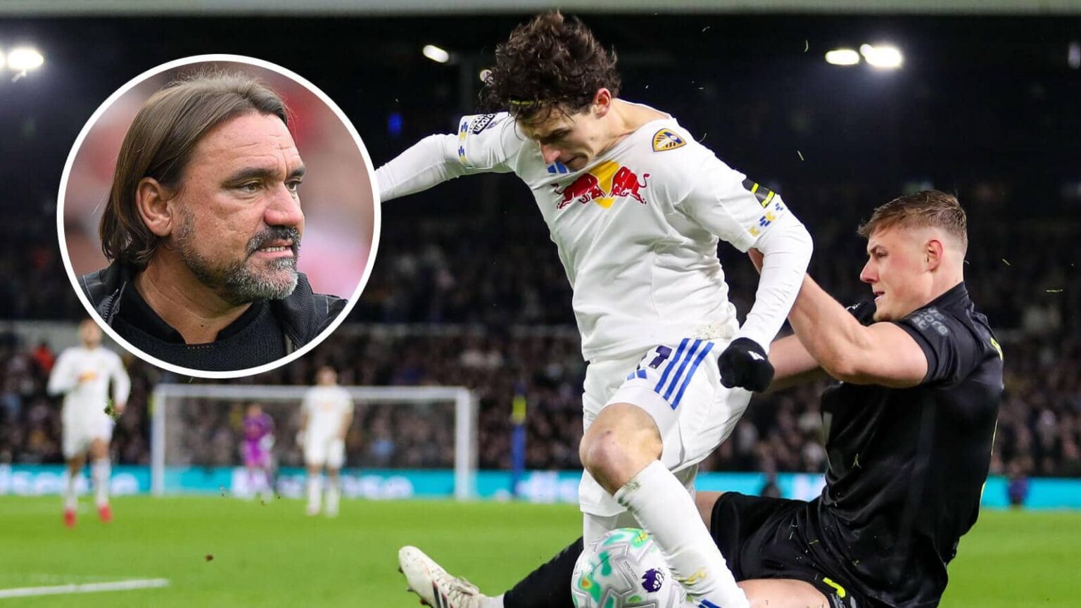 Fans rage at Daniel Farke after Sunderland loss as five major conclusions are drawn amid ‘we are going down’ claim Fans rage at Daniel Farke after Sunderland loss as five major conclusions are drawn amid 'we are going down' claim