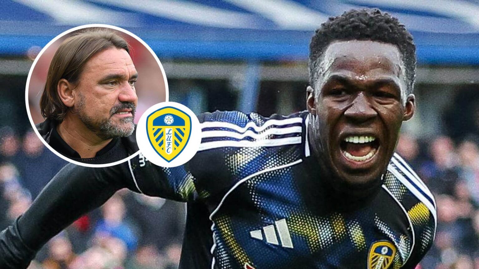 Insider reveals all on Willy Gnonto’s struggles with four stars fearing for futures Insider reveals all on Willy Gnonto's struggles with four stars fearing for futures