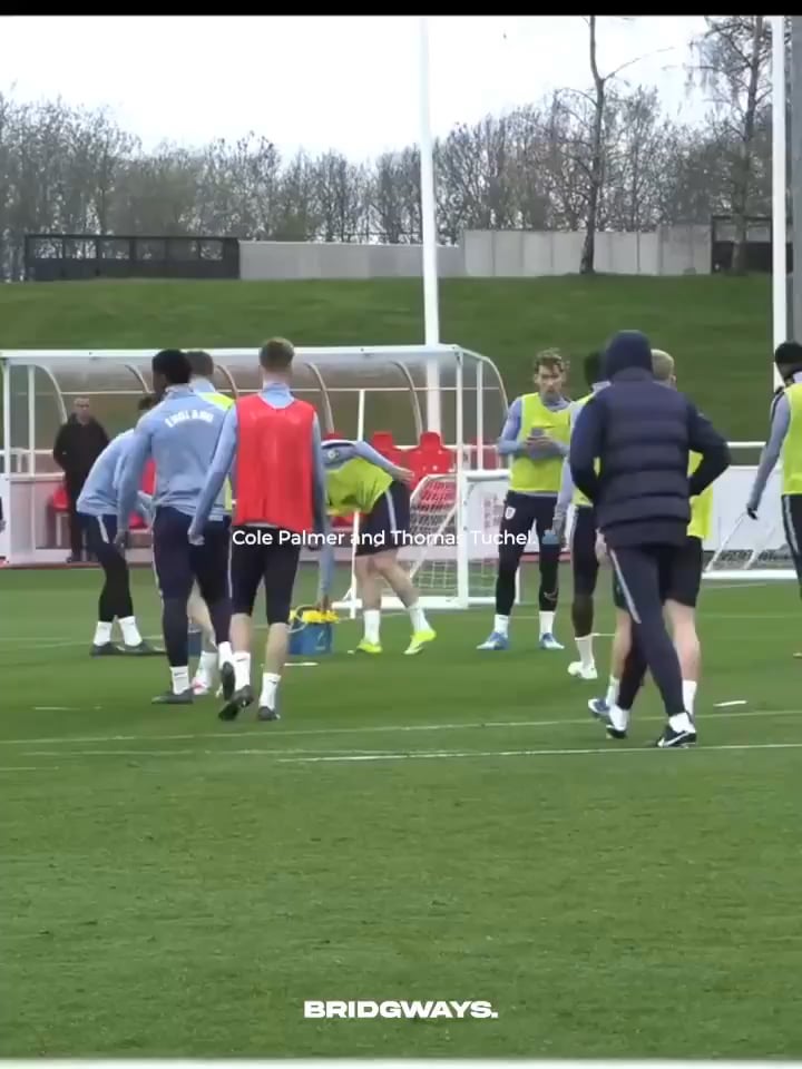 Thomas Tuchel and Cole Palmer (Credit: @Bridgways)