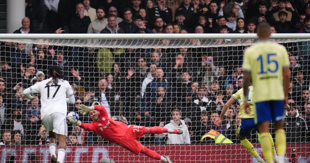 Late penalty earns Southampton a shock FA Cup victory at Fulham – The Irish News