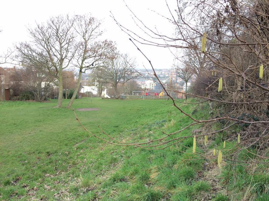 Brighton park to be given £53k revamp