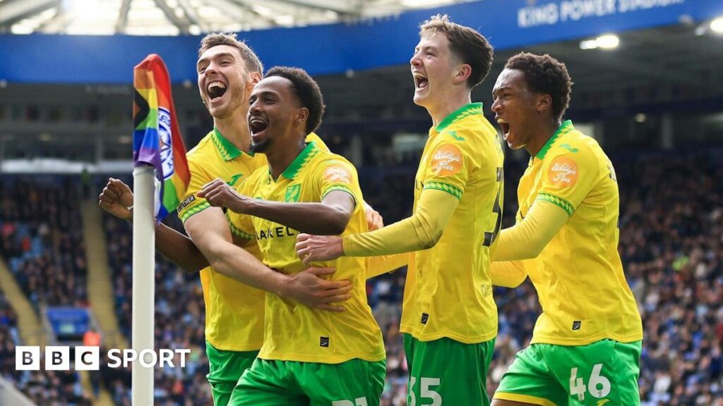 Ali Ahmed: Norwich winger coming to terms with physical Championship