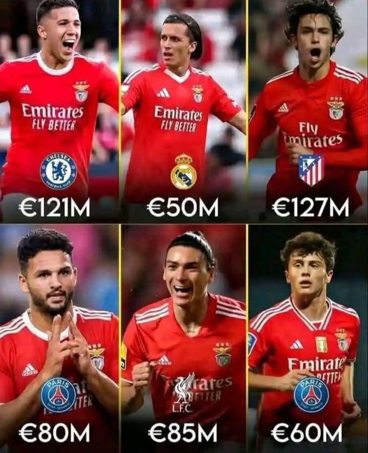 How Benfica built one of football’s most powerful money-making machines through elite scouting and perfect transfer timing!