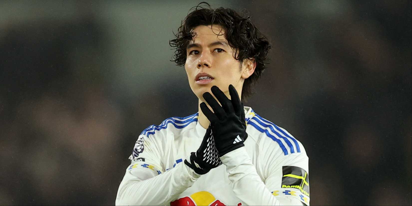 Ao-Tanaka-Leeds-Liverpool