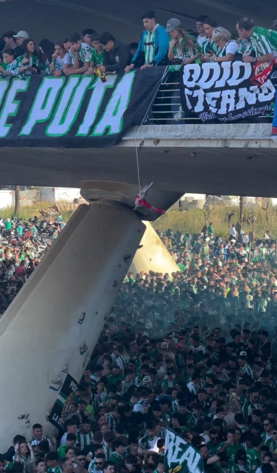 Betis fans killed and hung a rabbit wearing the rival team's scarf before today's derby; they were also caught giving Nazi salutes.