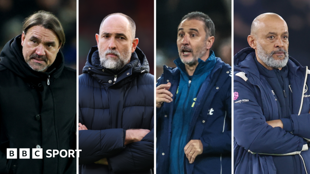 The race for Premier League survival - who will go down?