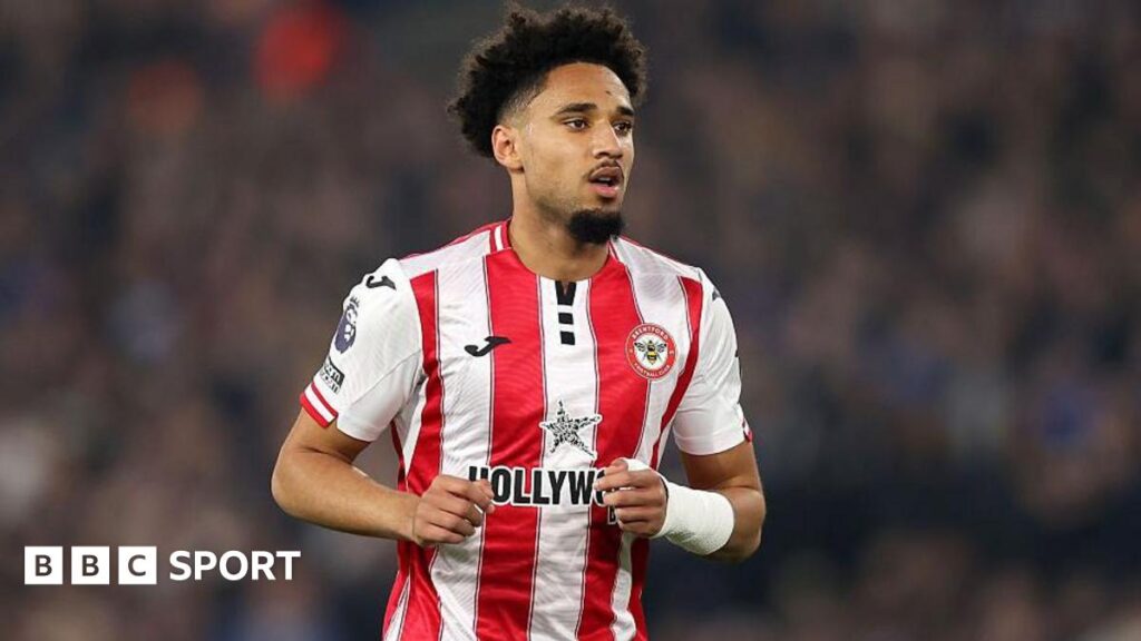 No VAR error but Brentford denied penalty v Wolves - panel