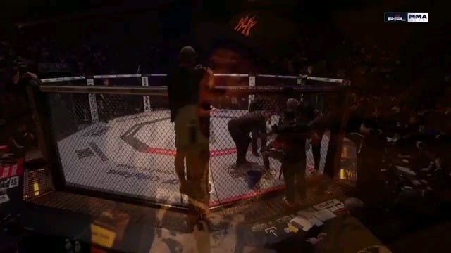 Vini Jr, Courtois and Bellingham in attendance for PFL Madrid