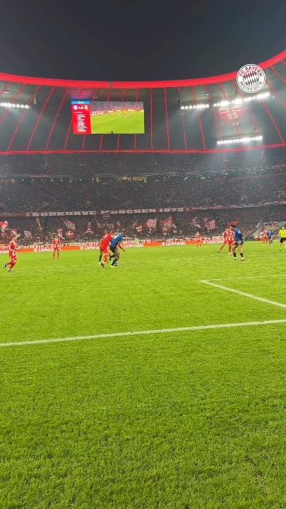 🎥HIGHLIGHT: Reactions after Harry Kane's goal against Atalanta.