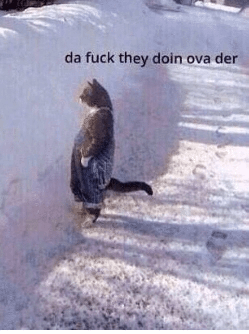 Big fan of the circus going on over at Spurs - thank fuck we avoided De Zerbi