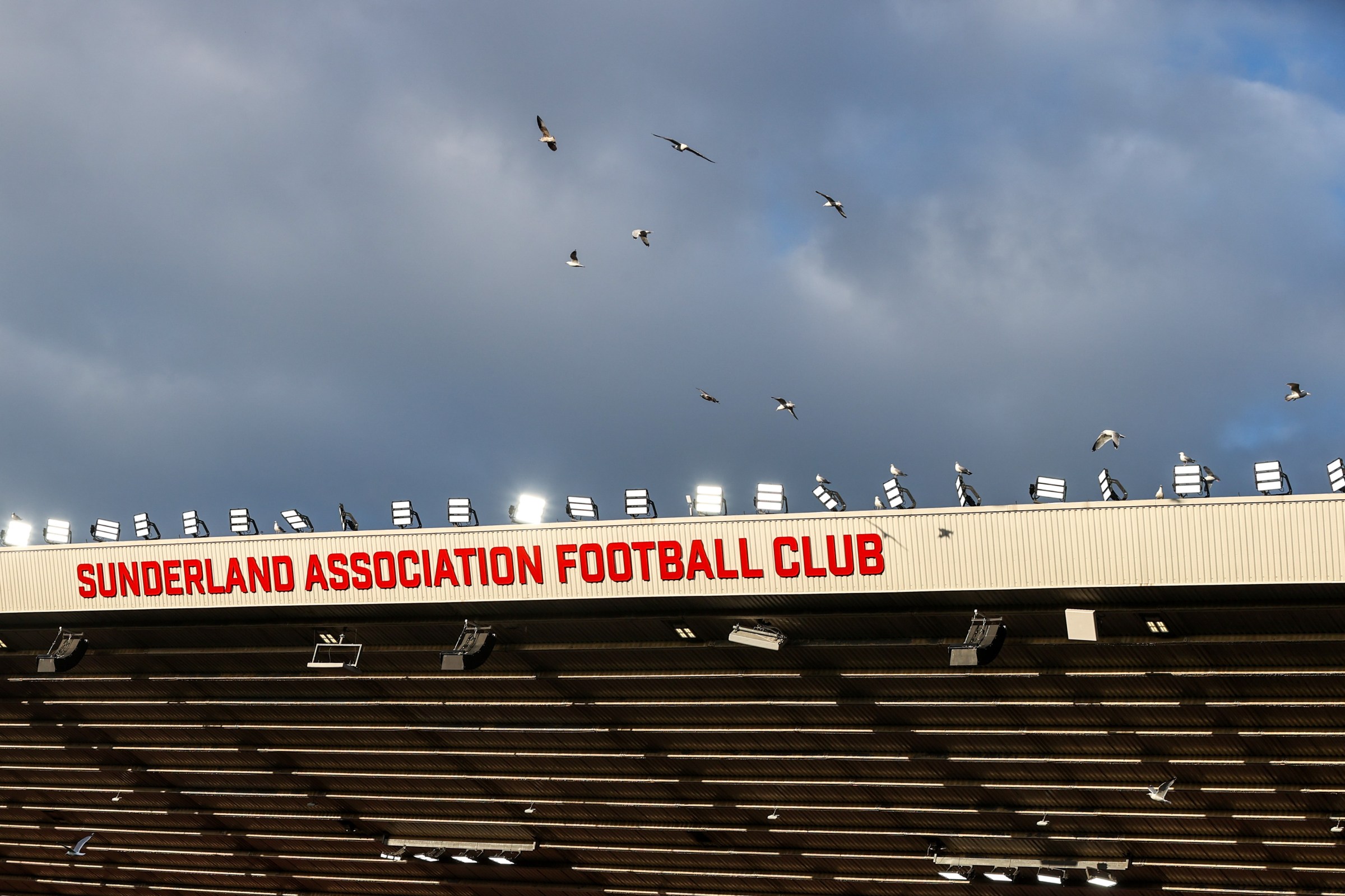 Seagulls swarm the Stadium of Light as Brighton leads 1-0 during the Premier League match between Sunderland and Brighton & Hove Albion at the Stadium of Light in Sunderland, United Kingdom, on March 14, 2026. (Photo by Alfie Cosgrove/News Images/NurPhoto via Getty Images)