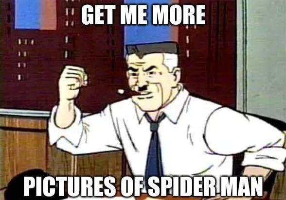 Police Scotland trying to find the pitch invaders