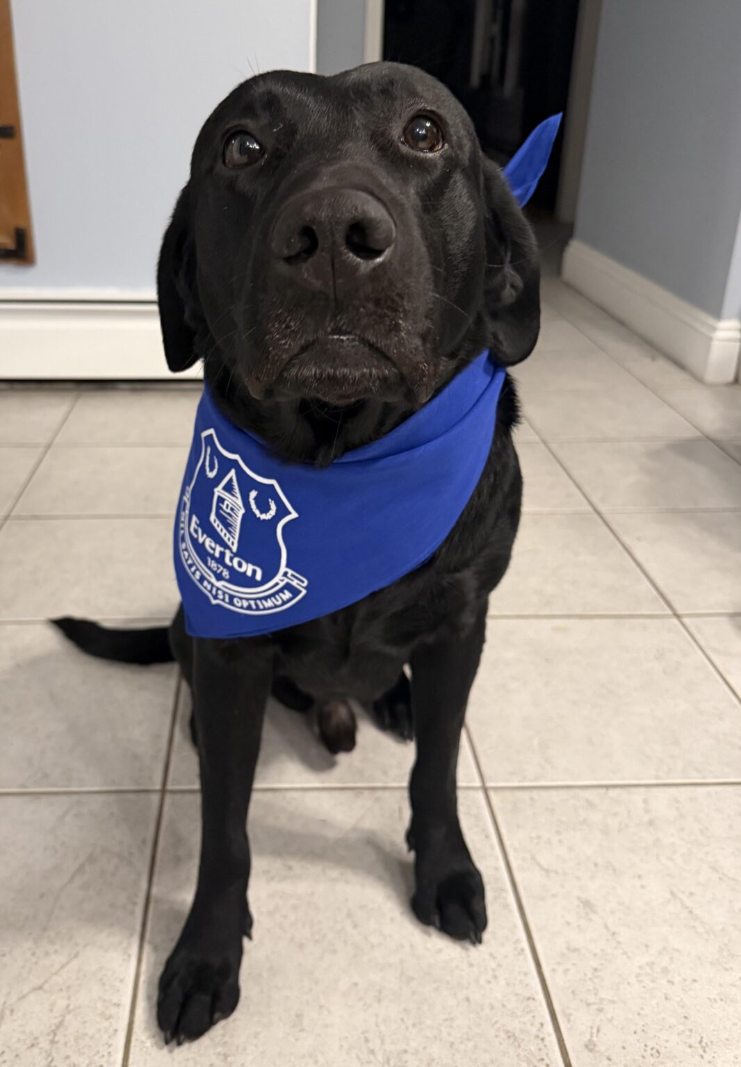 Just wanted to show off the old man looking smart in his new bandana