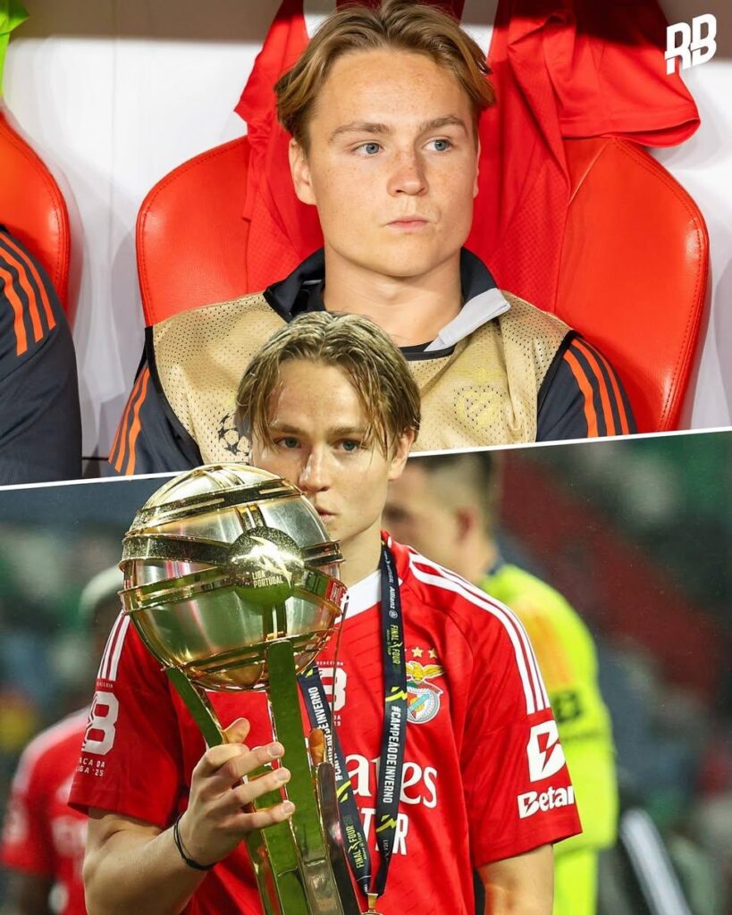 ANDREAS RÆDERGÅRD SCHJELDERUP💎