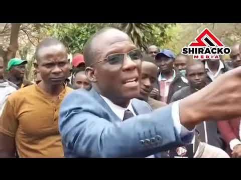 Hala Madrid fans be like