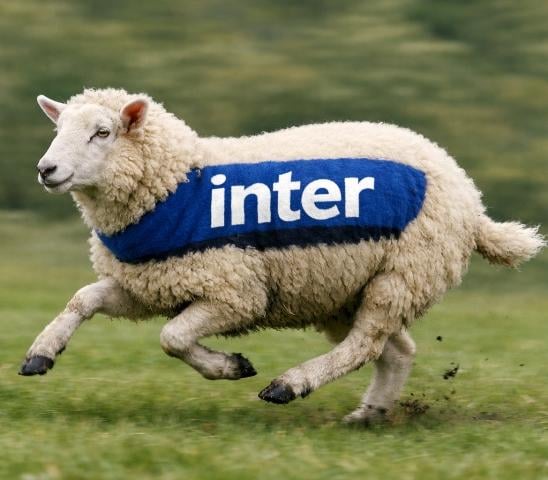 Inter fans: