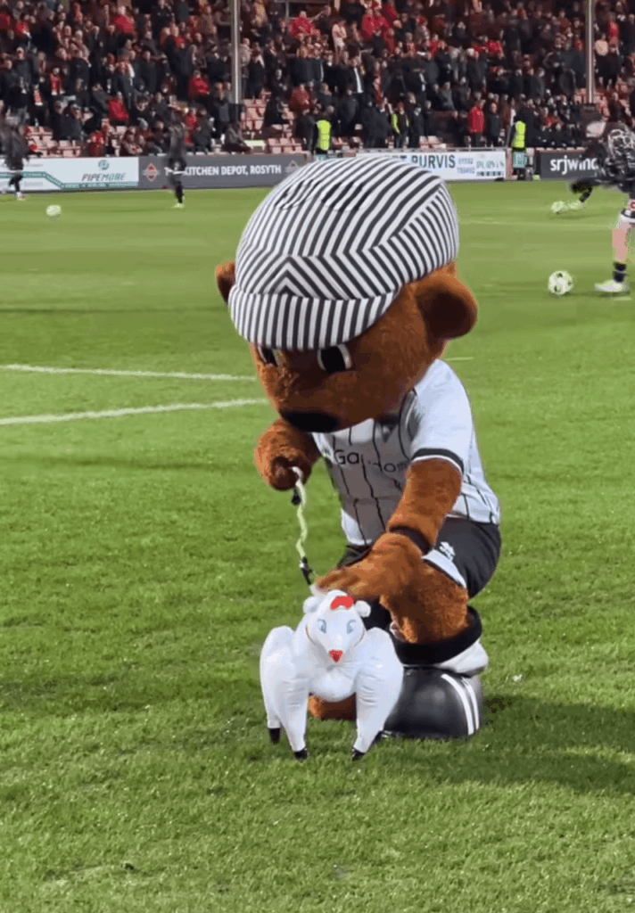 Immaculate shit housery once again from Sammy the Tammy.