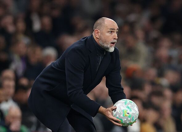 Tottenham Hotspur v Crystal Palace - Premier League