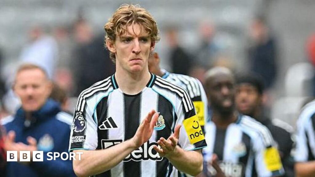 Sunderland are the sucks, says Gordon