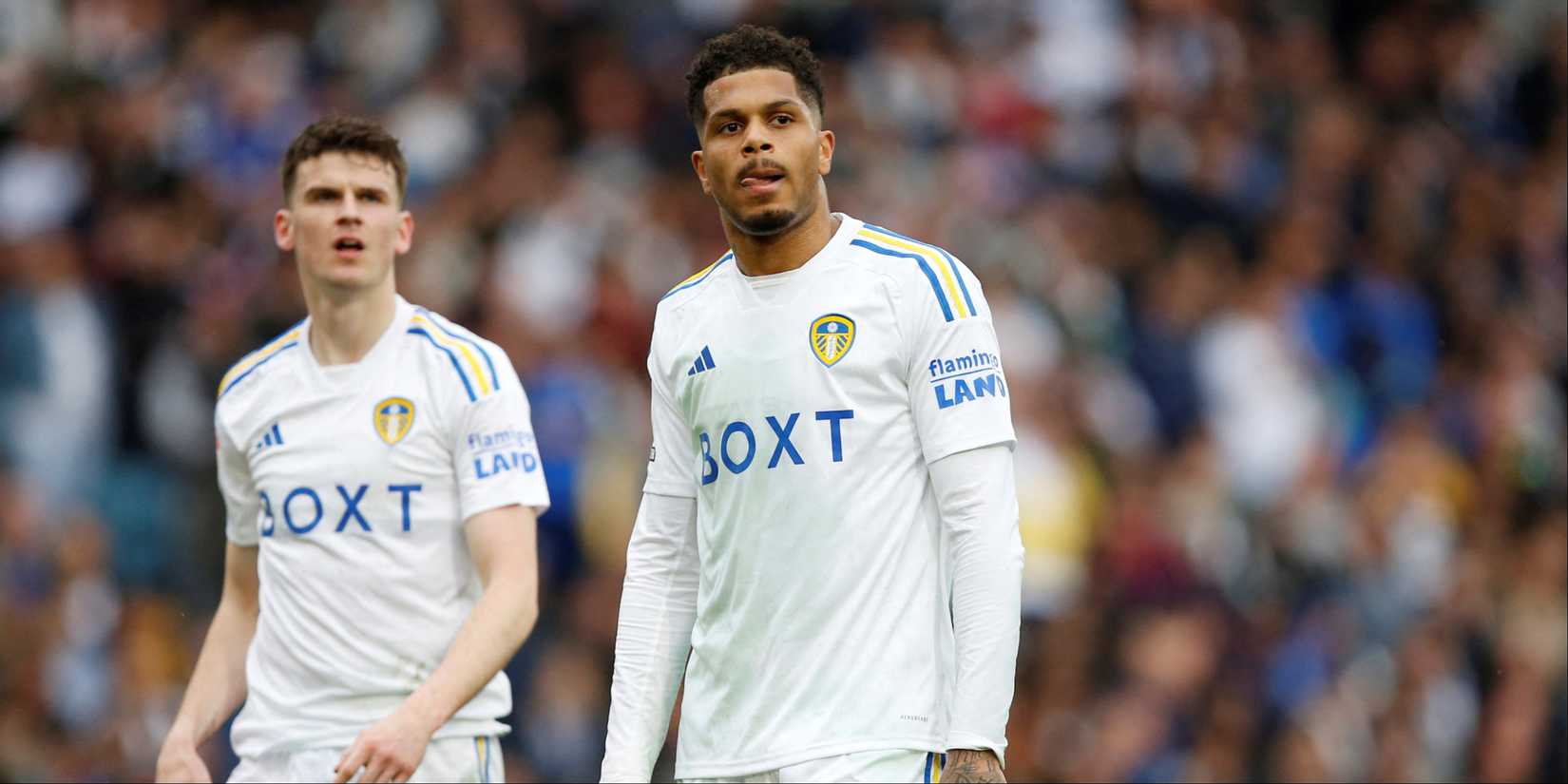 Rutter-Leeds-Championship-Saints