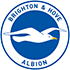 Brighton and Hove Albion badge