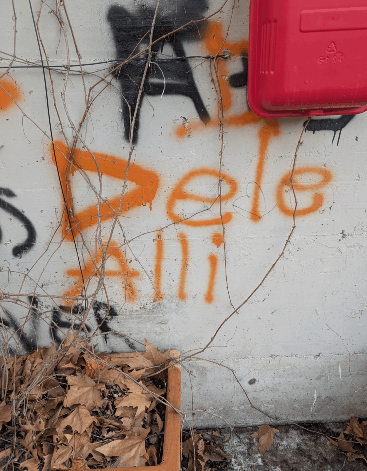 Dele Alli graffiti spotted in a parking garage in rural Italy.