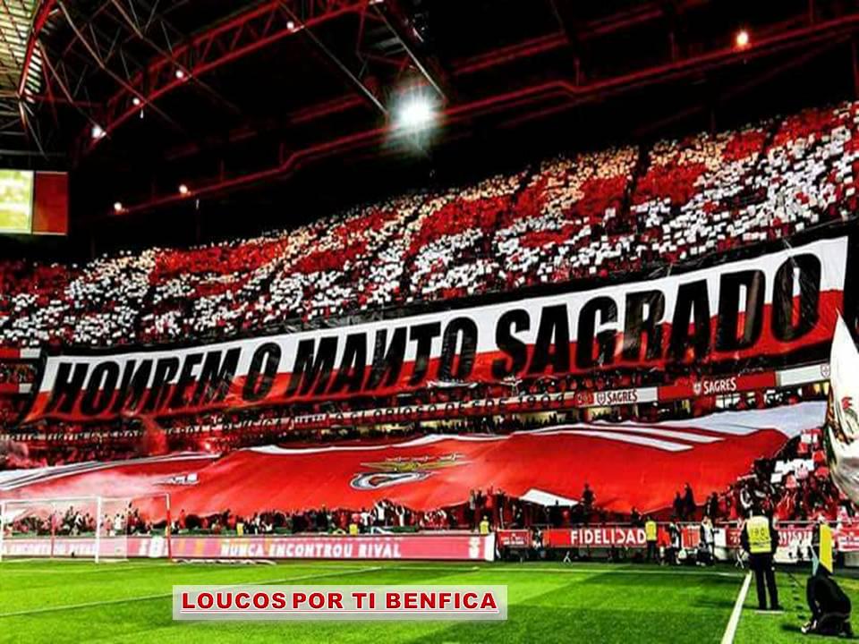 Amanhã é para voltar à ribalta